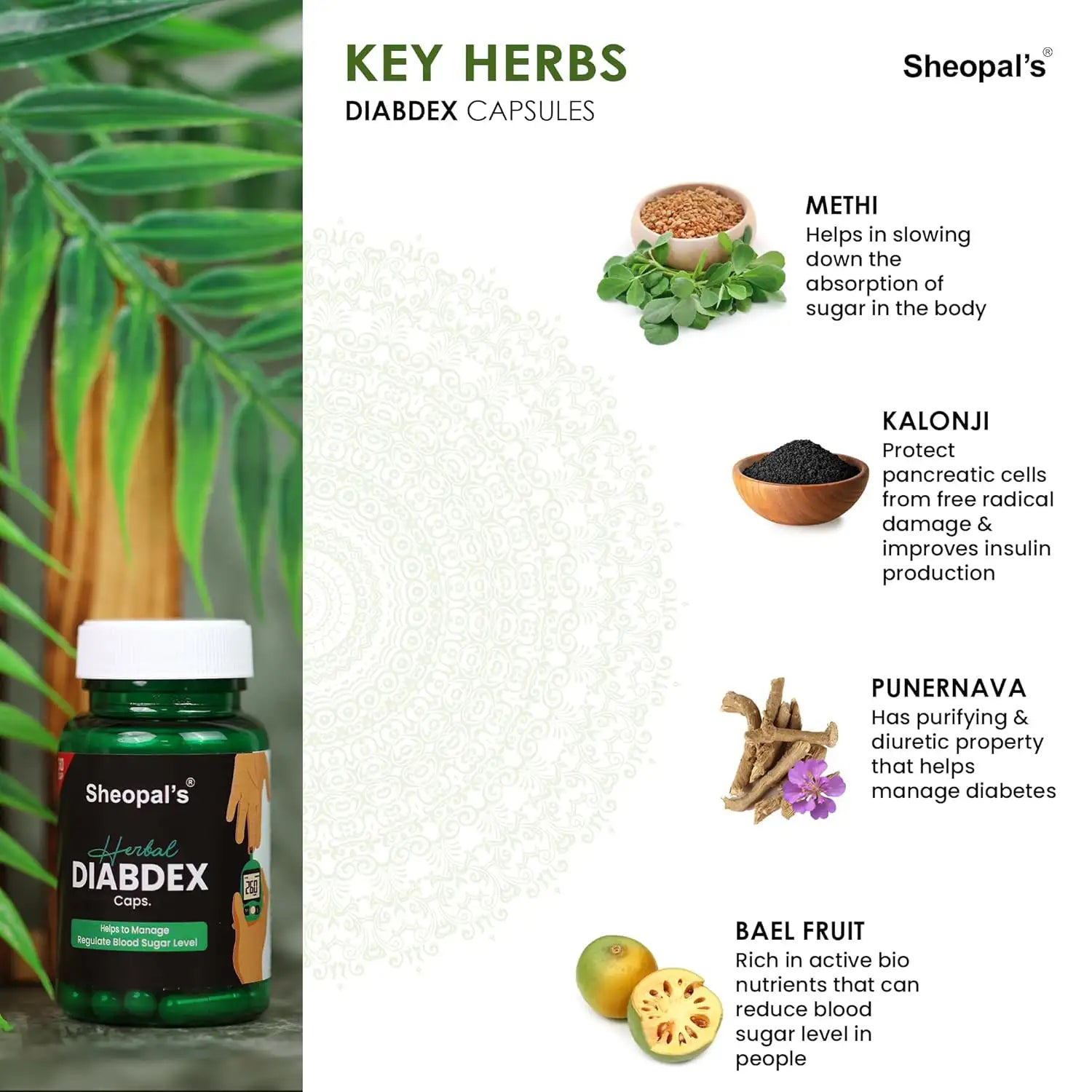 Sheopal’s Herbal Diabdex Capsule: Helps Manage Sugar Levels