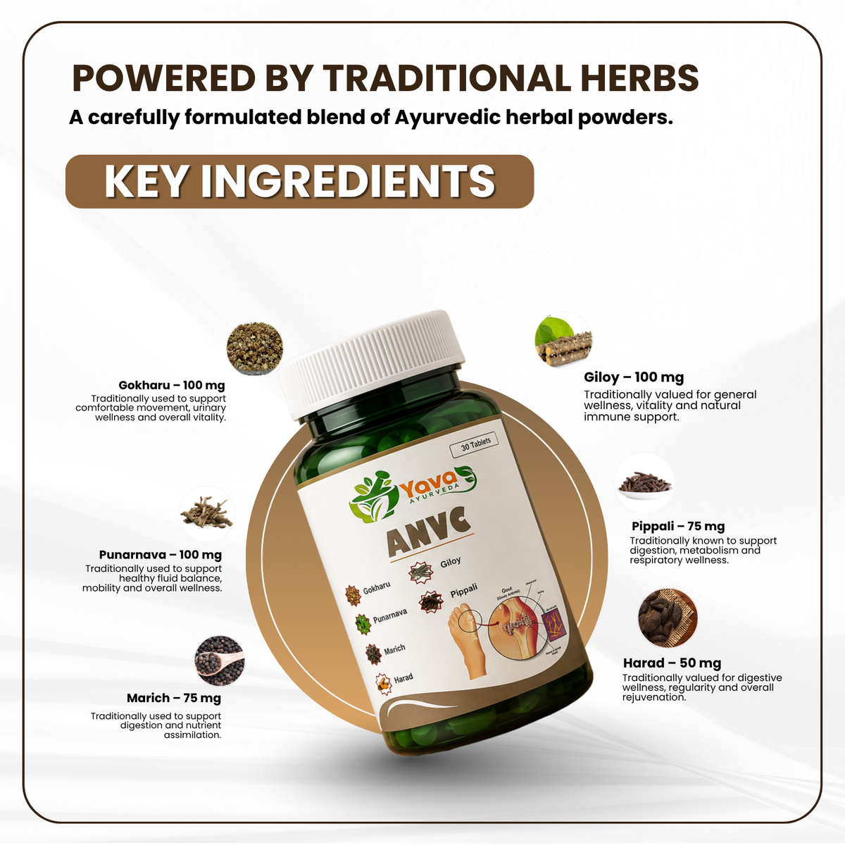 Traditional Herbs, Everyday Mobility & Body Wellness.