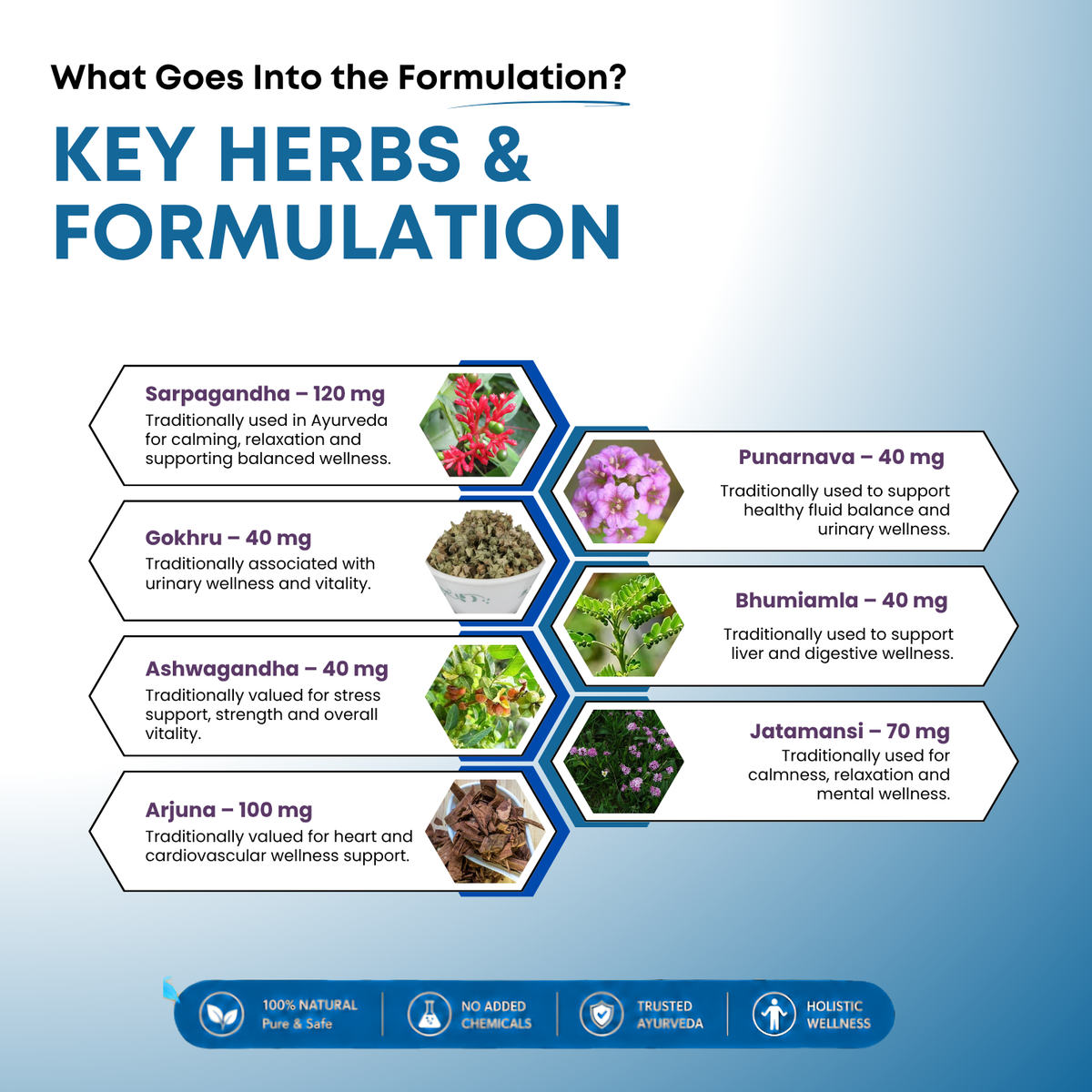 Traditional Herbs, Everyday Seasonal Wellness.