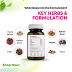 Ayurvati- Everyday Urinary and Kidney Wellness