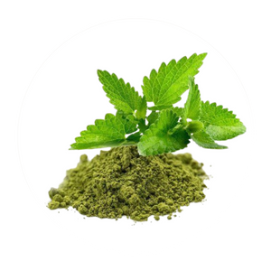 Tulsi Leaves Powder