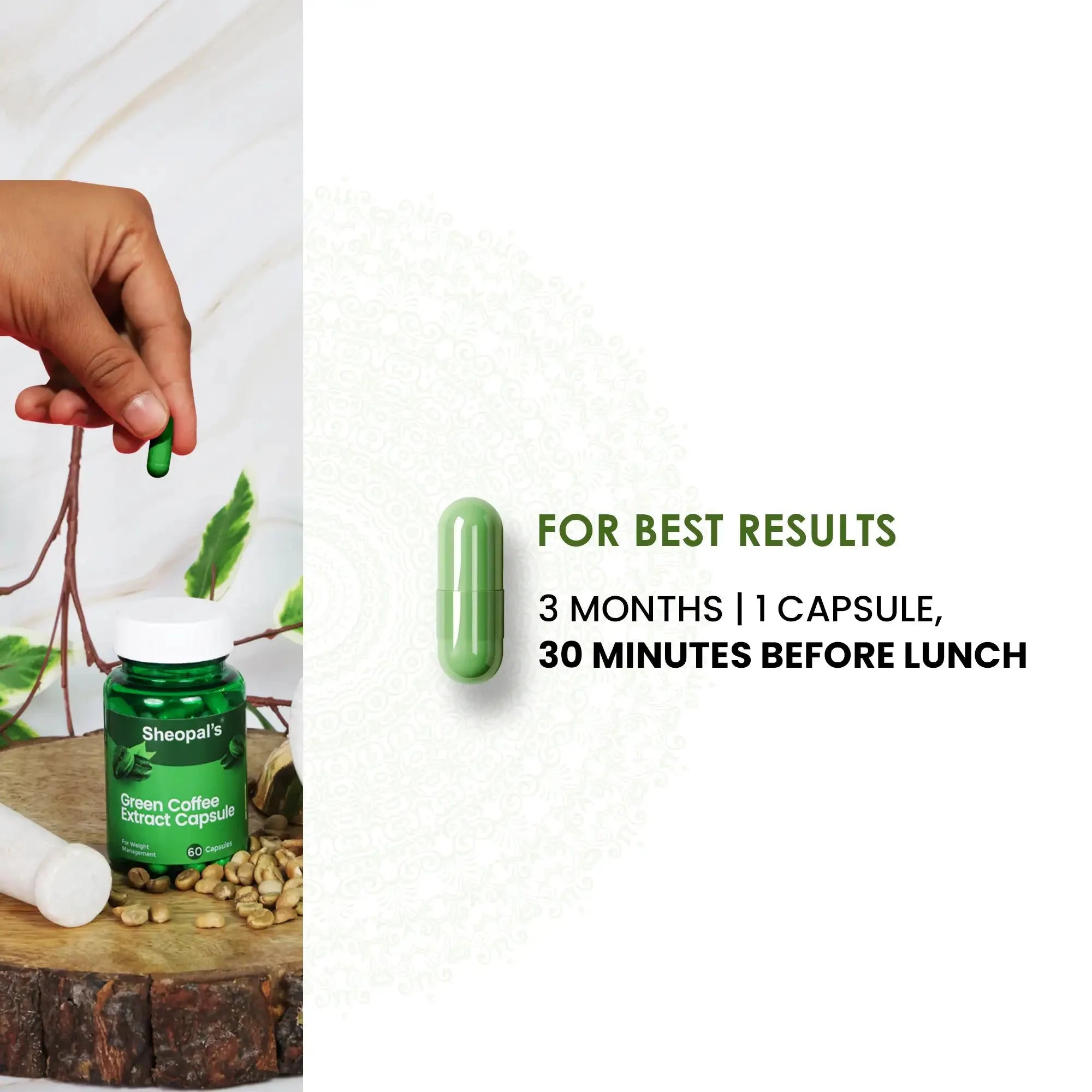Green Coffee Extract Capsules for Weight Management