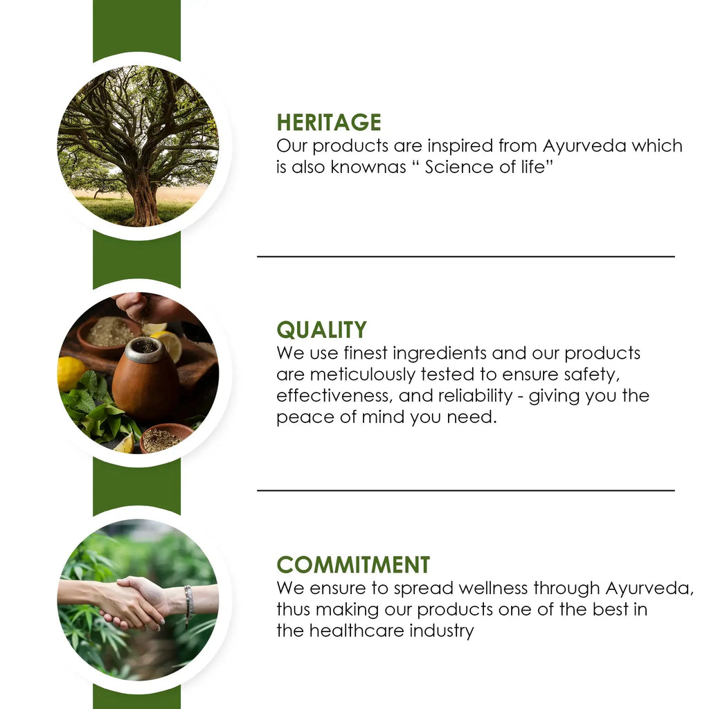 Green Coffee Extract Capsules for Weight Management