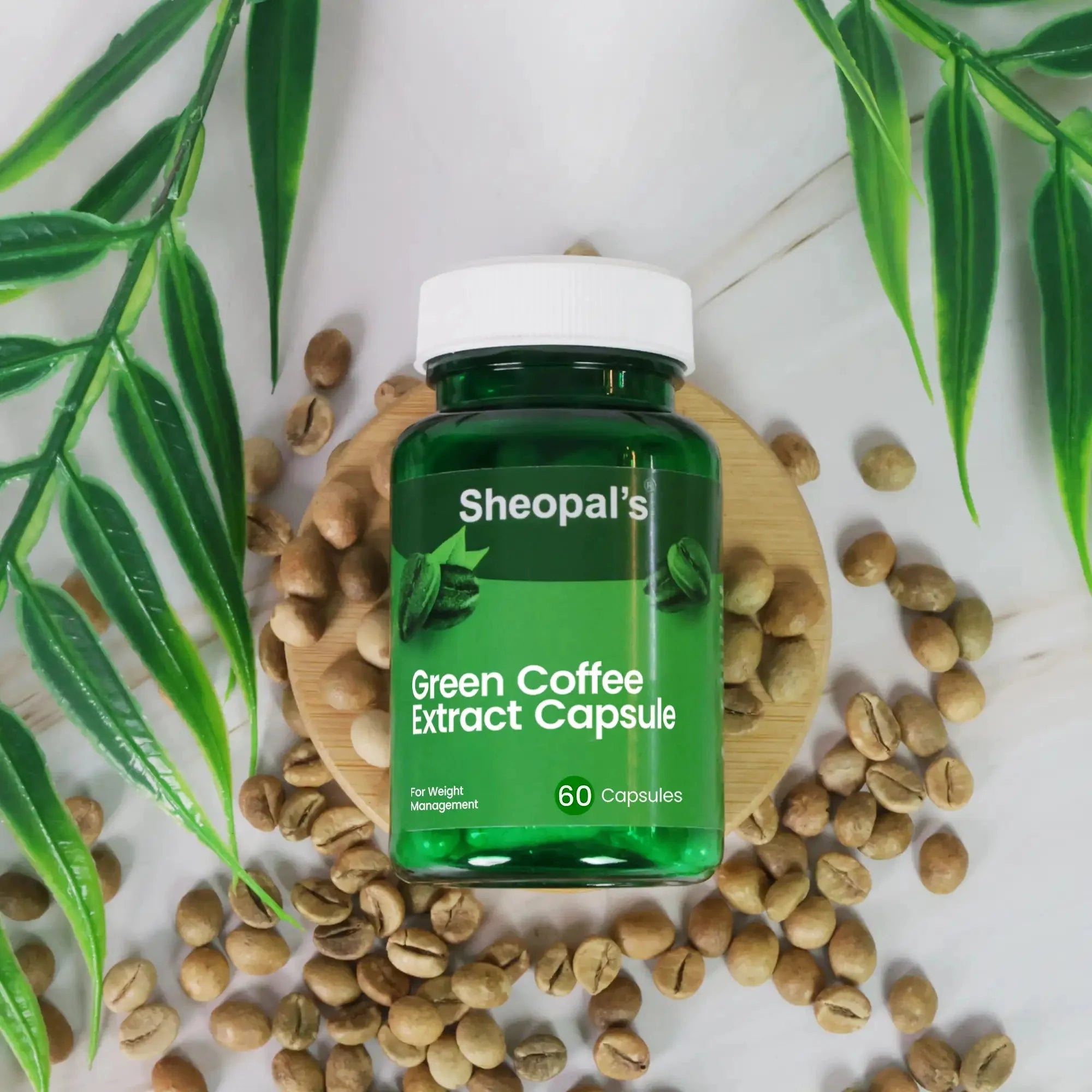 Green Coffee Extract Capsules for Weight Management
